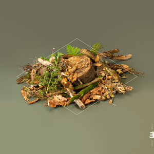 Fergus McCreadie Forest Floor Packshot_id20494_